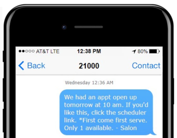 text message example for salons