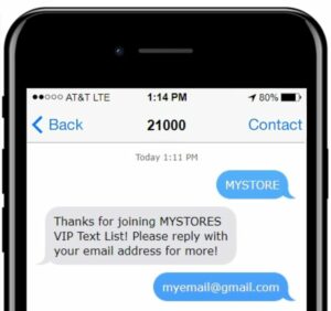 text message and email marketing